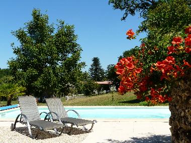 relaxing at the pool