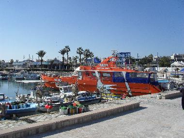 Holiday Apartment in Ayia Napa (Famagusta) or holiday homes and vacation rentals