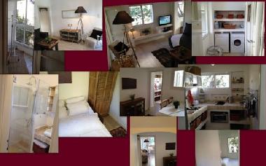 Holiday Apartment in tel aviv (Tel Aviv) or holiday homes and vacation rentals
