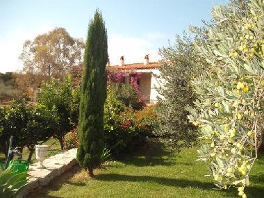 Holiday House in Baja Sardinia (Sassari) or holiday homes and vacation rentals