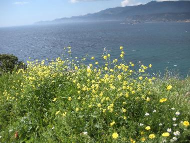 Holiday Apartment in Tresnuraghes (Oristano) (Oristano) or holiday homes and vacation rentals