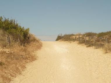 Holiday House in La tremblade (Charente-Maritime) or holiday homes and vacation rentals