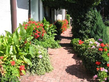 Bed and Breakfast in Leba (Pomorskie) or holiday homes and vacation rentals