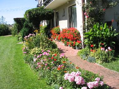 Bed and Breakfast in Leba (Pomorskie) or holiday homes and vacation rentals