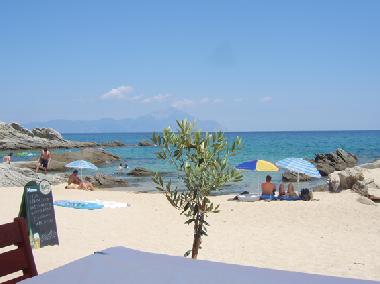 Sarti beach 350m from Greenotel.