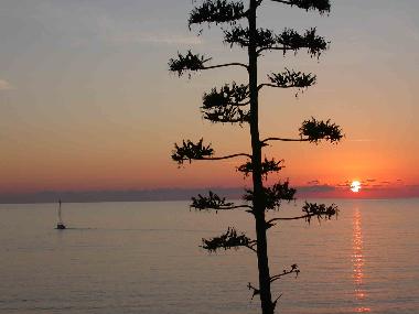 Holiday Apartment in Santa Maria Navarrese (Ogliastra) or holiday homes and vacation rentals