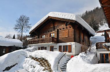 Holiday Apartment in Fiesch (Aletsch) or holiday homes and vacation rentals
