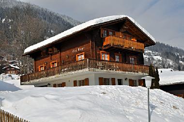 Holiday Apartment in Fiesch (Aletsch) or holiday homes and vacation rentals