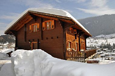 Holiday Apartment in Fiesch (Aletsch) or holiday homes and vacation rentals