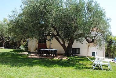 Holiday House in Ascea (Salerno) or holiday homes and vacation rentals