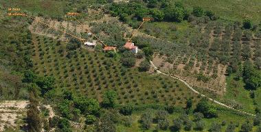 Holiday House in Ascea (Salerno) or holiday homes and vacation rentals