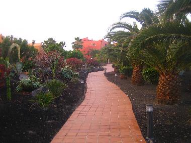 Holiday Apartment in Corralejo (Fuerteventura) or holiday homes and vacation rentals