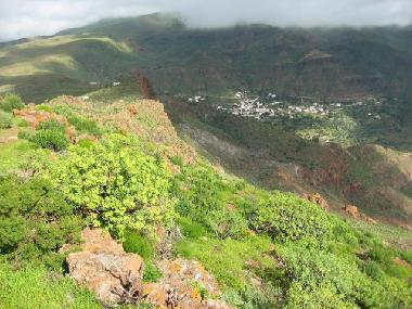 Holiday Apartment in aguimes (Gran Canaria) or holiday homes and vacation rentals