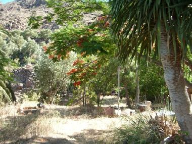 Holiday Apartment in aguimes (Gran Canaria) or holiday homes and vacation rentals