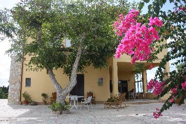 Villa Campofelice, Patio, Bouganvillea and old Walnut tree