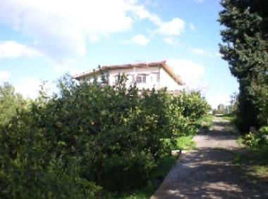 Villa Campofelice in the lemon grove on the hill