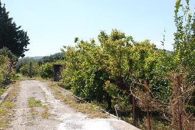 Main pathway to the garden