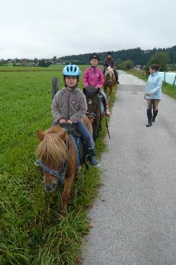 Chalet in Mariapfarr (Lungau) or holiday homes and vacation rentals