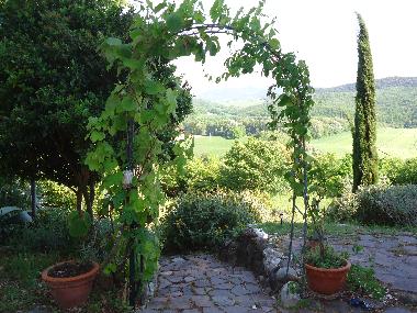 Holiday Apartment in Montecatini Val di Cecina (Pisa) or holiday homes and vacation rentals