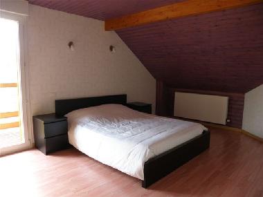 Villa in 88520 (Vosges) or holiday homes and vacation rentals