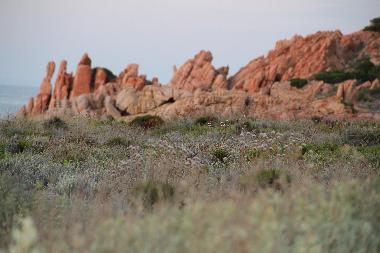 Holiday House in Isola Rossa (Gallura ) or holiday homes and vacation rentals