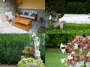 Holiday Apartment in Capolona (Arezzo) or holiday homes and vacation rentals