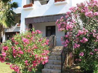 Holiday Apartment in Palamutbk (Mugla) or holiday homes and vacation rentals