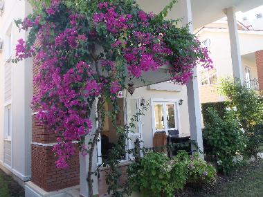 Villa in yaniklar (Mugla) or holiday homes and vacation rentals