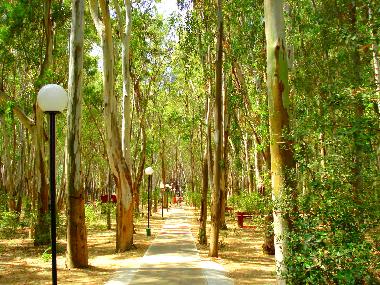 Holiday Apartment in Pizzo (Vibo Valentia) or holiday homes and vacation rentals