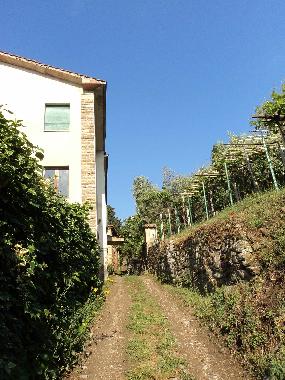 Holiday Apartment in Lisciano Niccone (Perugia) or holiday homes and vacation rentals