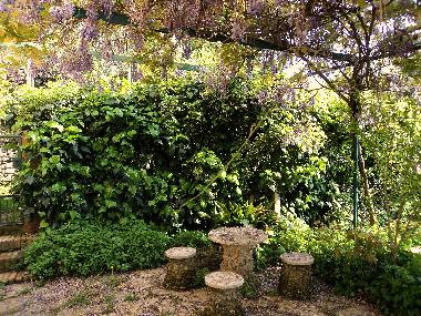 Holiday Apartment in Lisciano Niccone (Perugia) or holiday homes and vacation rentals