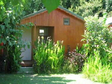 Bed and Breakfast in Cirali (Antalya) or holiday homes and vacation rentals