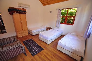 Bed and Breakfast in Cirali (Antalya) or holiday homes and vacation rentals
