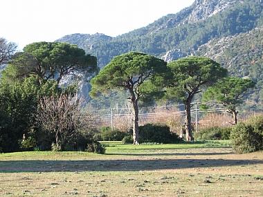 Bed and Breakfast in Cirali (Antalya) or holiday homes and vacation rentals