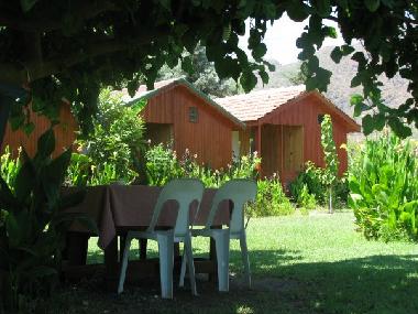 Bed and Breakfast in Cirali (Antalya) or holiday homes and vacation rentals