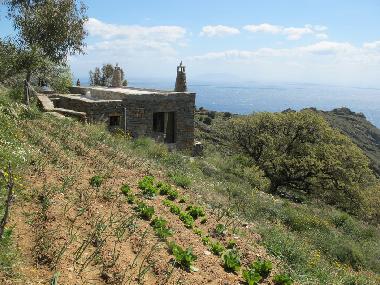 Holiday House in Kea- Tsia (Kyklades) or holiday homes and vacation rentals