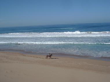 Villa in Sidi Boulfdail (Agadir) or holiday homes and vacation rentals