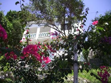 Holiday House in Treasure Beach (Saint Elizabeth) or holiday homes and vacation rentals