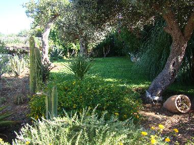 Holiday House in Cava d