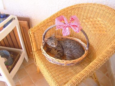 Holiday House in Cava d