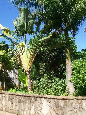 Holiday Apartment in Lambare (Central) or holiday homes and vacation rentals