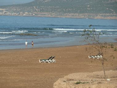 A typical day on the beach at Tamraght