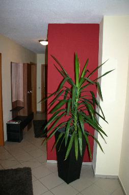 Holiday Apartment in Neuschnau (Lower Bavaria) or holiday homes and vacation rentals