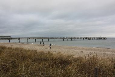 Holiday Apartment in Boltenhagen (Mecklenburgische Ostseekste) or holiday homes and vacation rentals