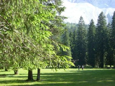 Holiday Apartment in Feistritz (Klagenfurt-Villach) or holiday homes and vacation rentals