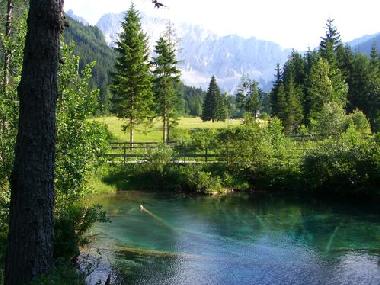 Holiday Apartment in Feistritz (Klagenfurt-Villach) or holiday homes and vacation rentals