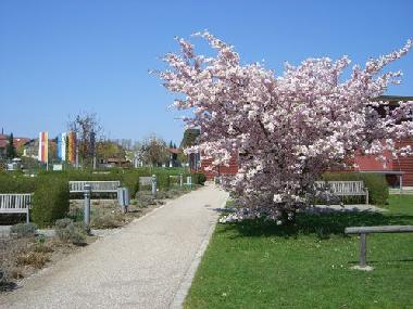 Holiday Apartment in Bayerbach (Lower Bavaria) or holiday homes and vacation rentals