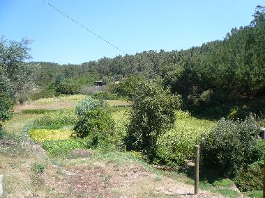 Holiday House in vila da cova alva (Serra da Estrela) or holiday homes and vacation rentals