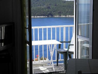 Holiday Apartment in Dubrovnik (Dubrovacko-Neretvanska) or holiday homes and vacation rentals