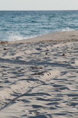 Holiday House in Capo blu (Pula) (Cagliari) or holiday homes and vacation rentals